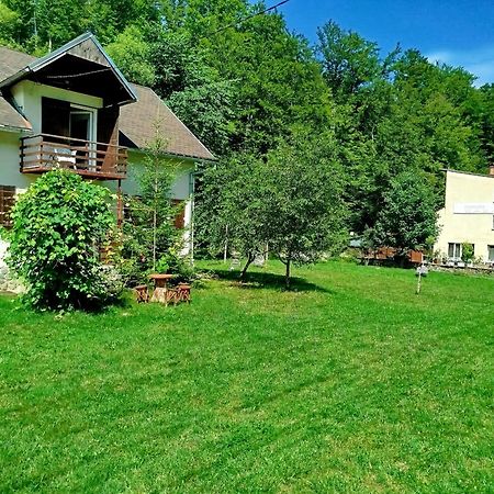 Willa Complex Adela Transfagarasan Cîrţişoara Zewnętrze zdjęcie
