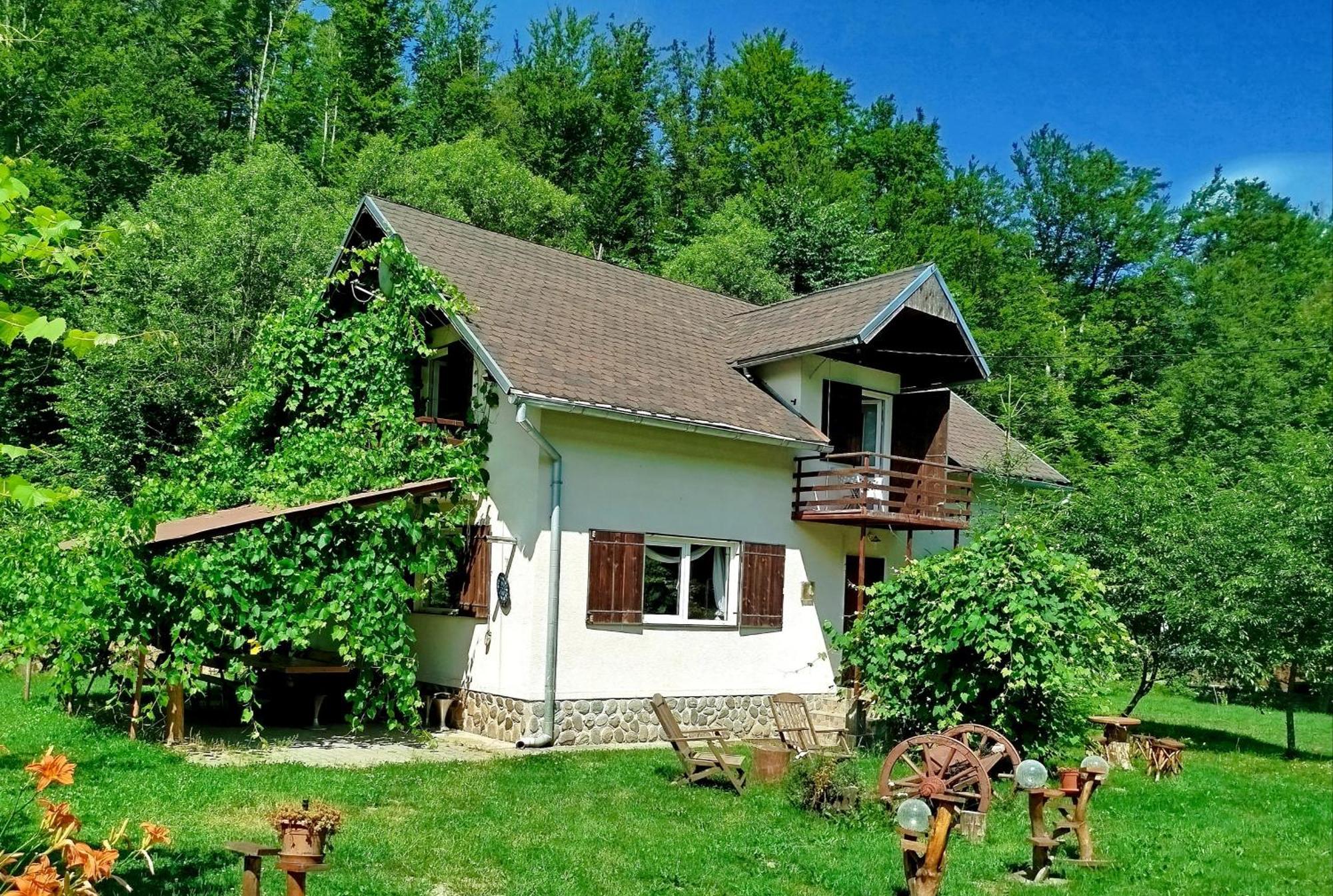 Willa Complex Adela Transfagarasan Cîrţişoara Zewnętrze zdjęcie