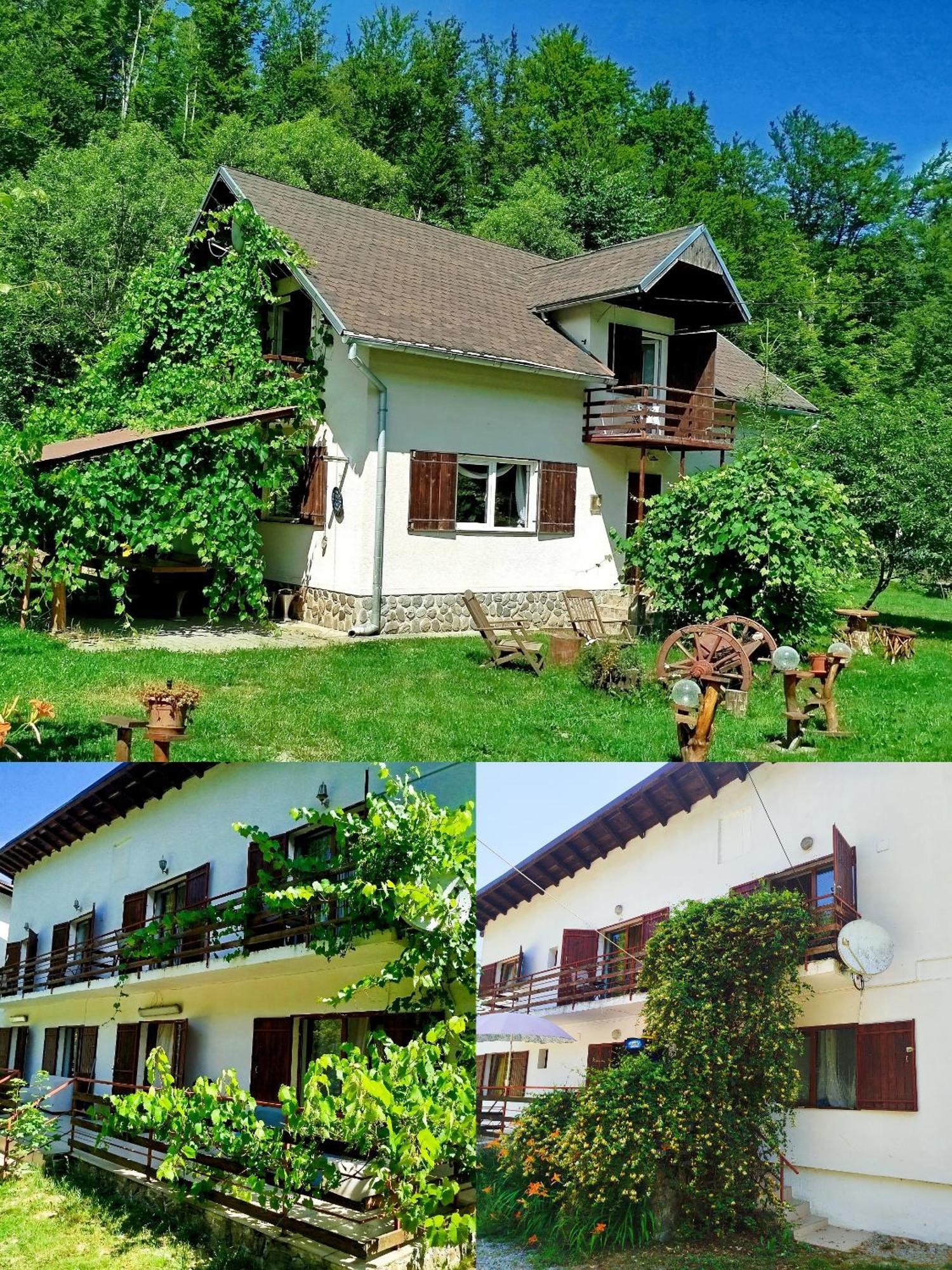 Willa Complex Adela Transfagarasan Cîrţişoara Zewnętrze zdjęcie