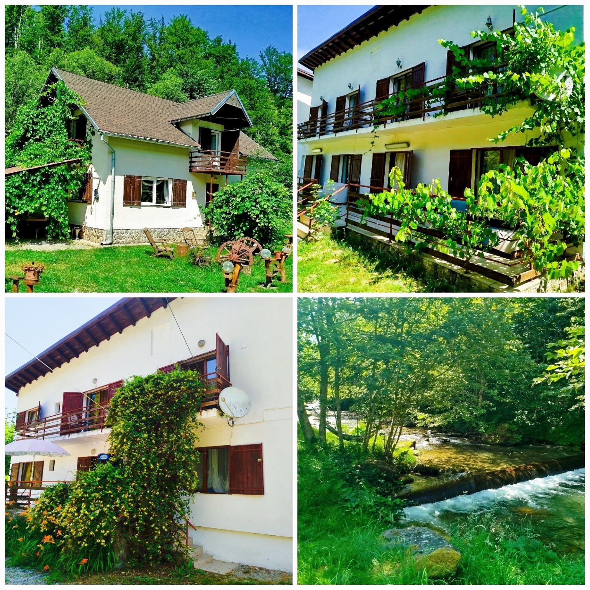 Willa Complex Adela Transfagarasan Cîrţişoara Zewnętrze zdjęcie