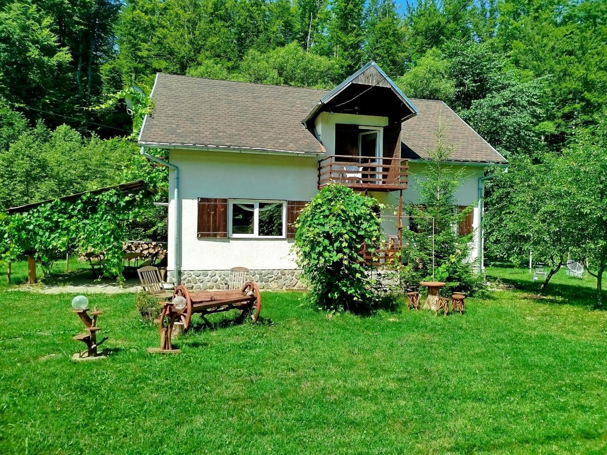 Willa Complex Adela Transfagarasan Cîrţişoara Zewnętrze zdjęcie