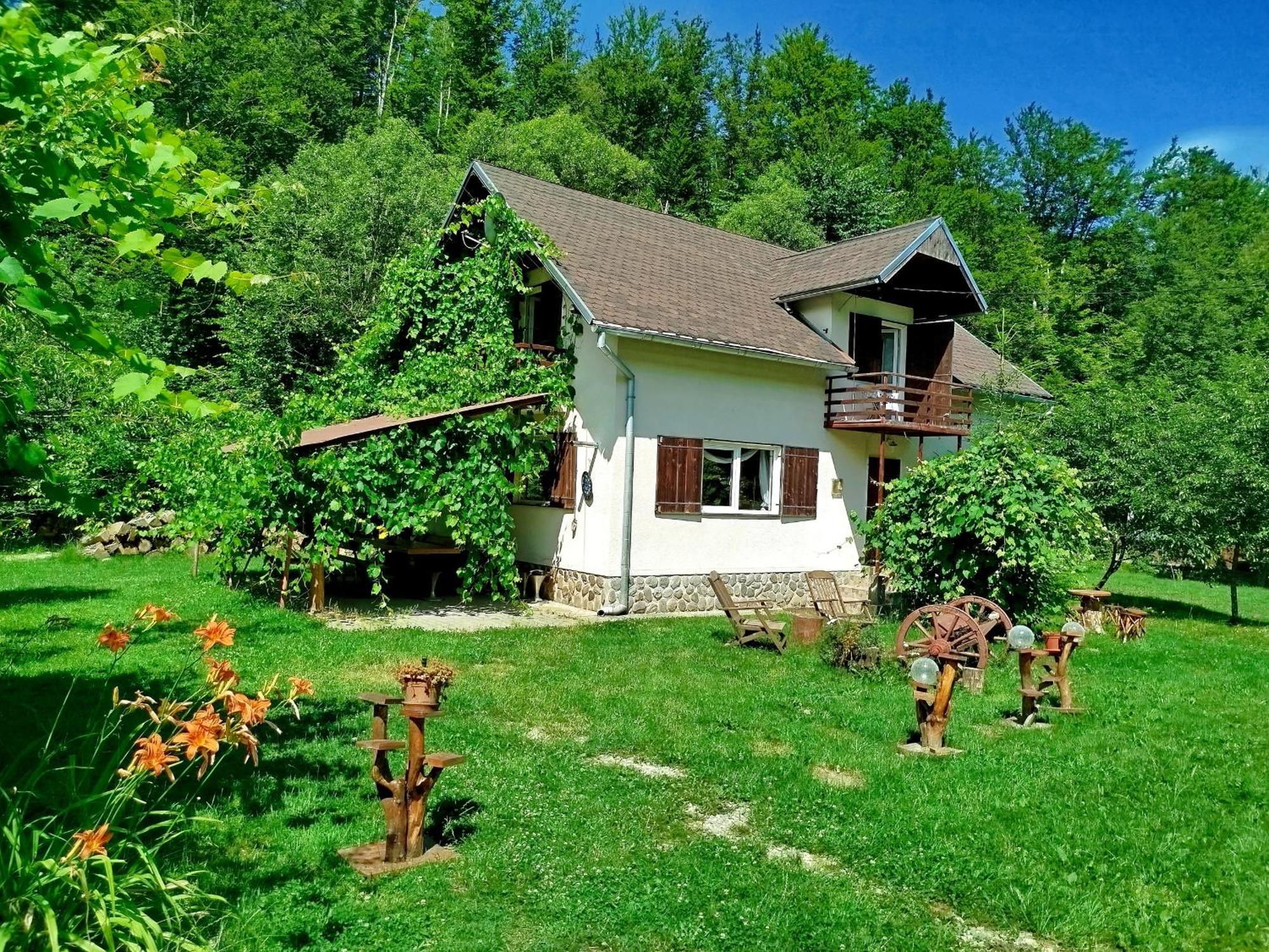 Willa Complex Adela Transfagarasan Cîrţişoara Zewnętrze zdjęcie