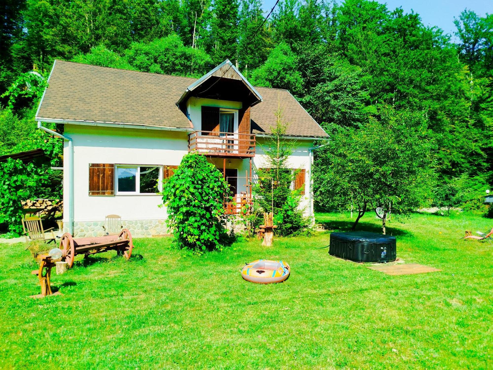 Willa Complex Adela Transfagarasan Cîrţişoara Zewnętrze zdjęcie
